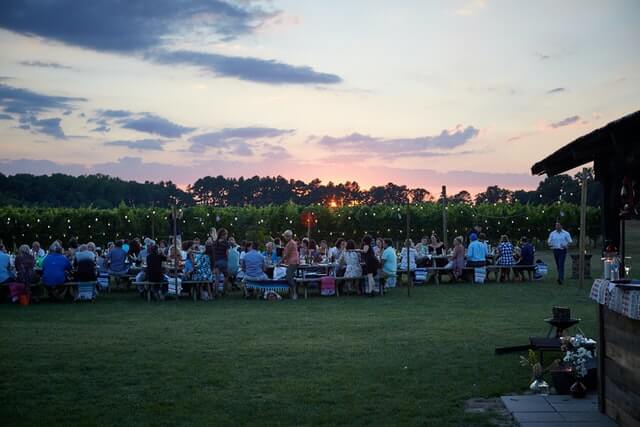 people sitting on green grass